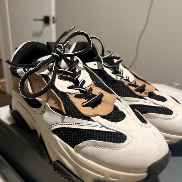 Steve Madden Black and White Sneakers - Picture 3 of 7